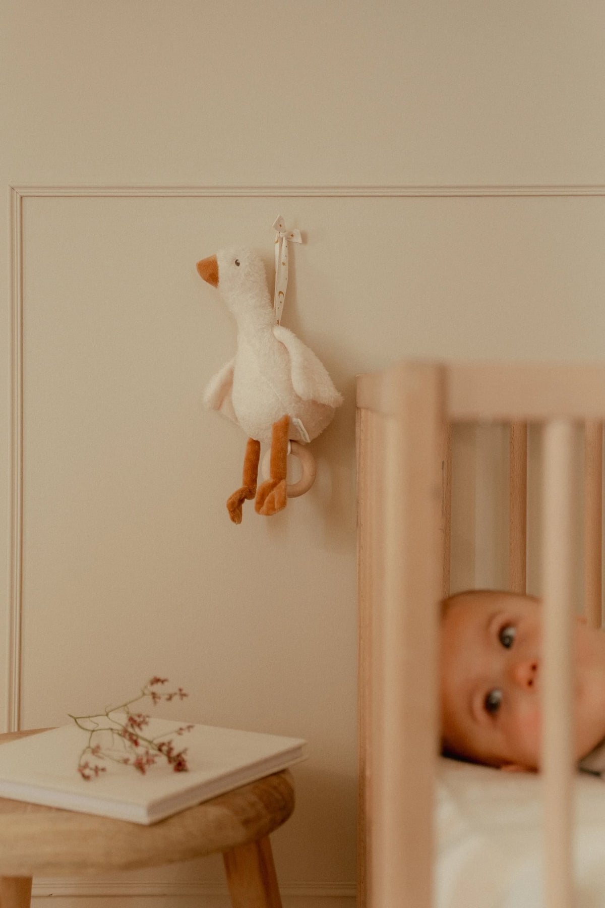 Muziekdoosje Little Goose