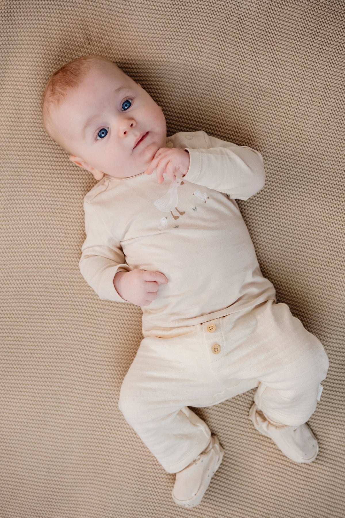 T-shirt lange mouw Sand Little Goose