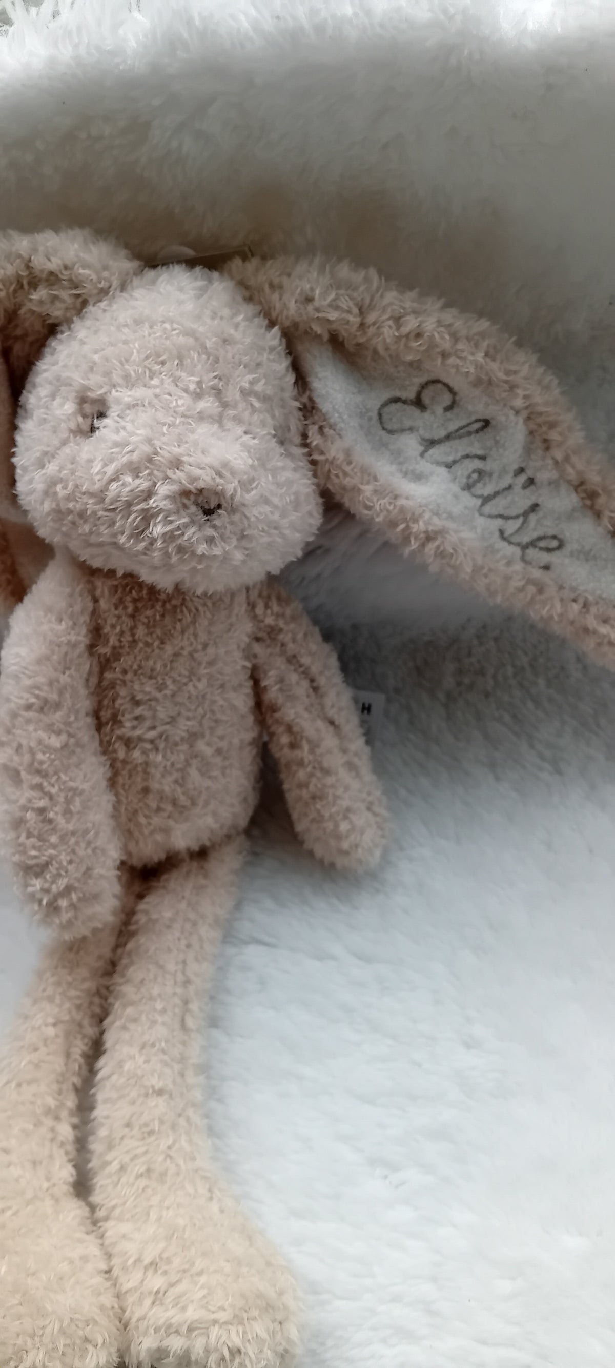 Knuffel konijn